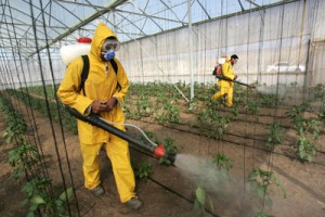 Pesticide in food